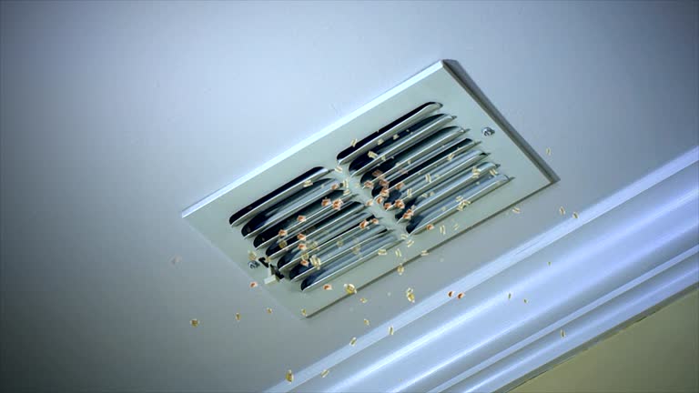 Best HVAC Duct Inspection Services  in Delano, CA