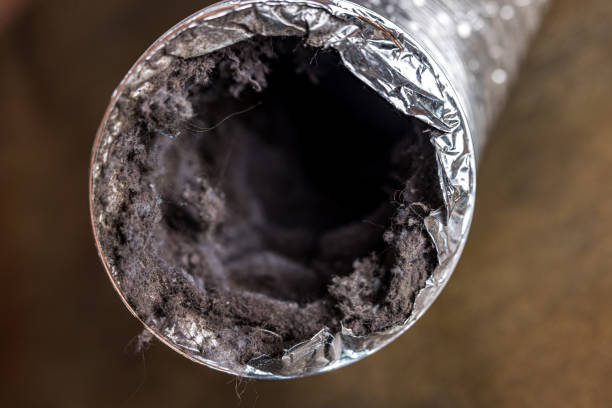 Best Air Duct Cleaning Near Me  in Delano, CA